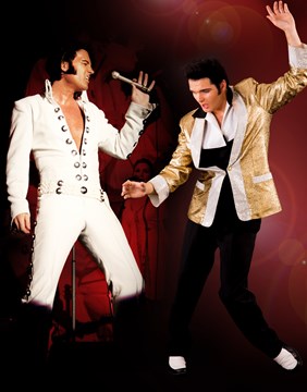 We Remember Elvis Presley-staand-rechtenvrij