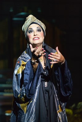 SUNSET BOULEVARD. Ria Jones 'Norma Desmond'. Photo Manuel Harlan