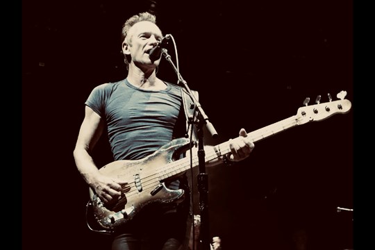 sting